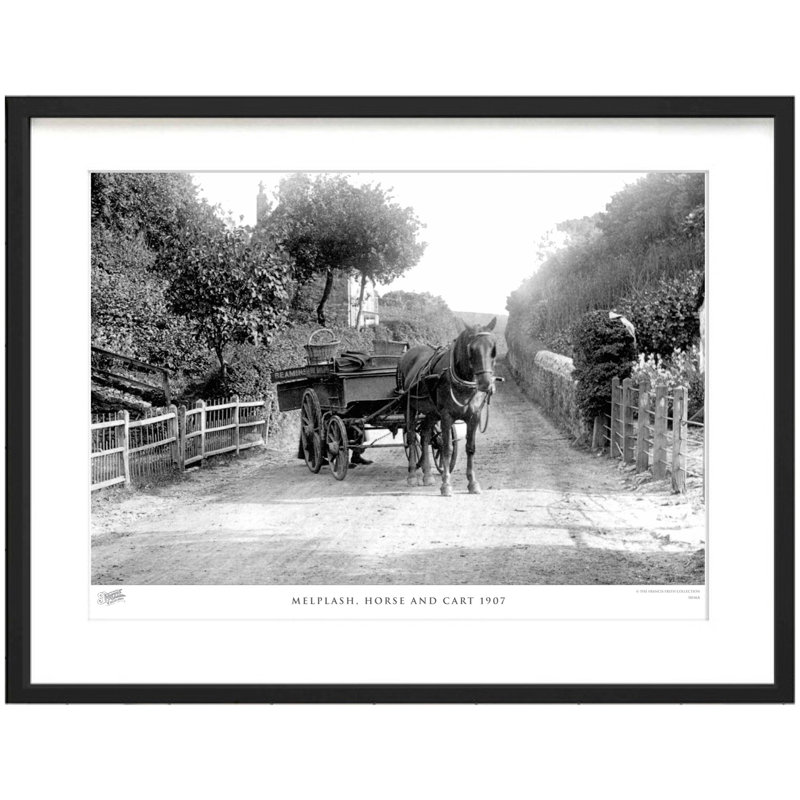 Melplash, Horse And Cart 1907 by Francis Frith - Single Picture Frame Print, 45cm H x 60cm W x 2.3cm D