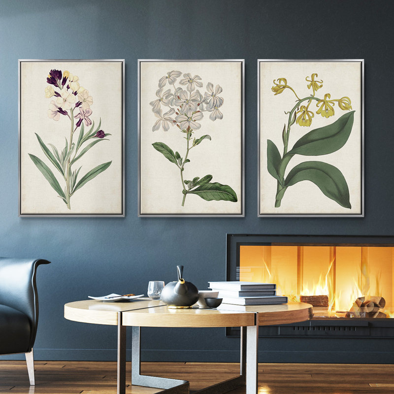 Ensemble de 3 pièces encadrées sur toile Antique Botanical Collection VII, H 36 po x l 72 po, Argent