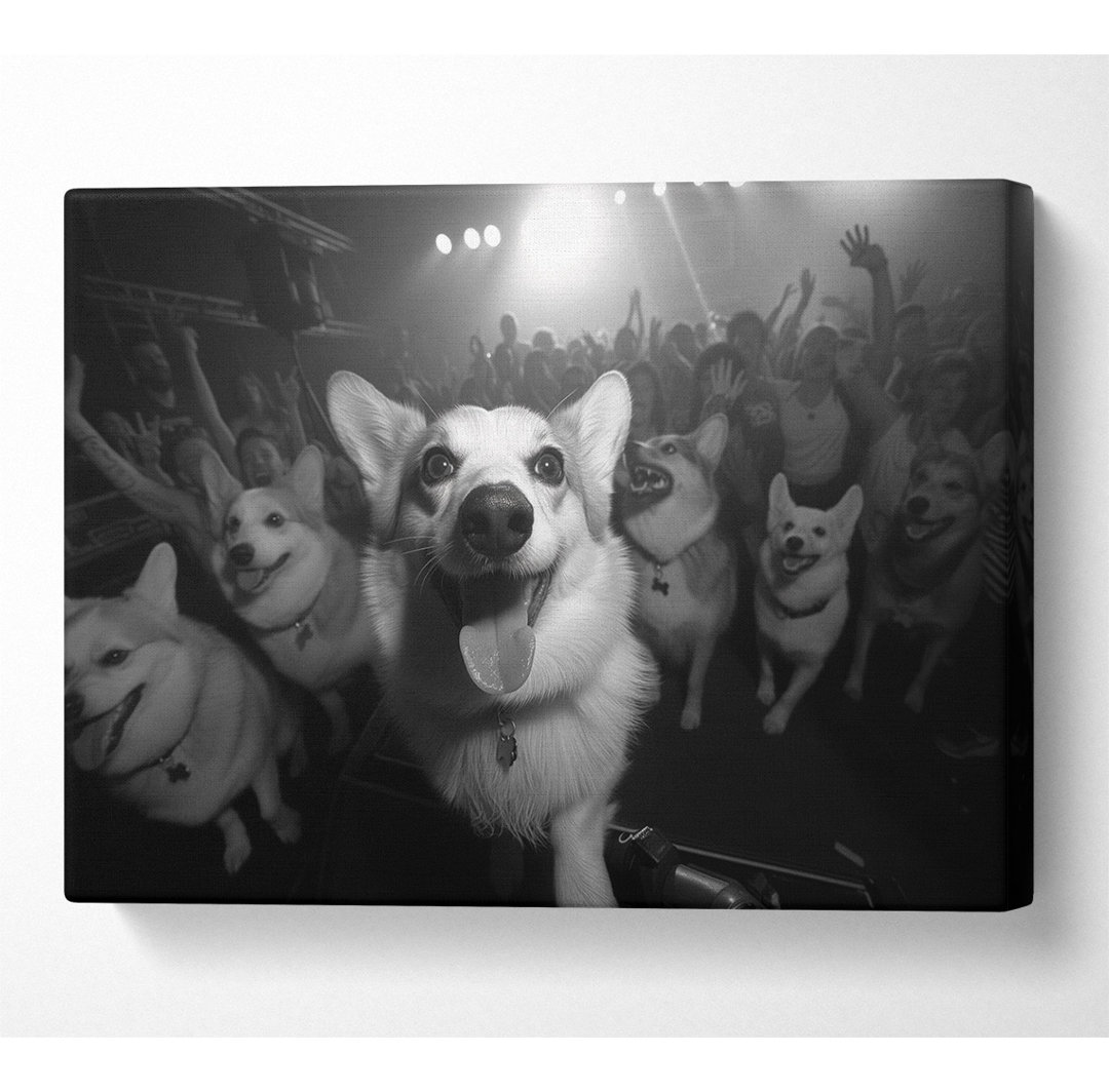 Dog Rave - Kunstdrucke auf Leinwand ohne Rahmen