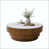White / Brown est en rupture de stock
