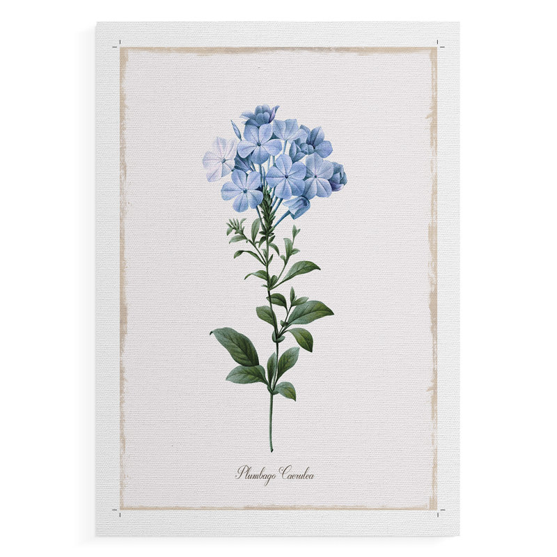 Cape Plomb - reproduction de toile seulement - non encadrée, H 12 po x l 8 po