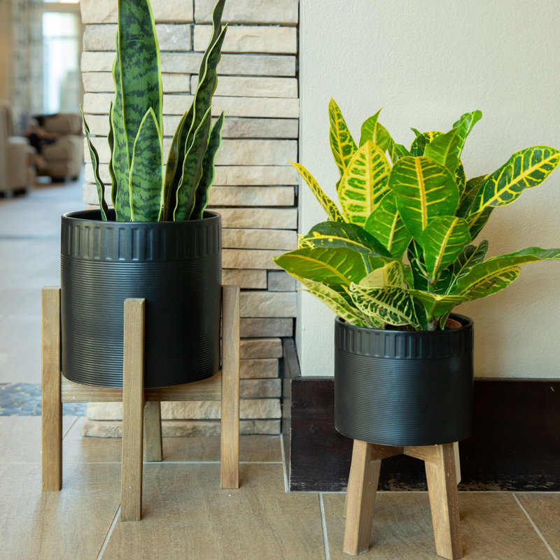 Carita Handmade Ceramic Pot Planter, Black