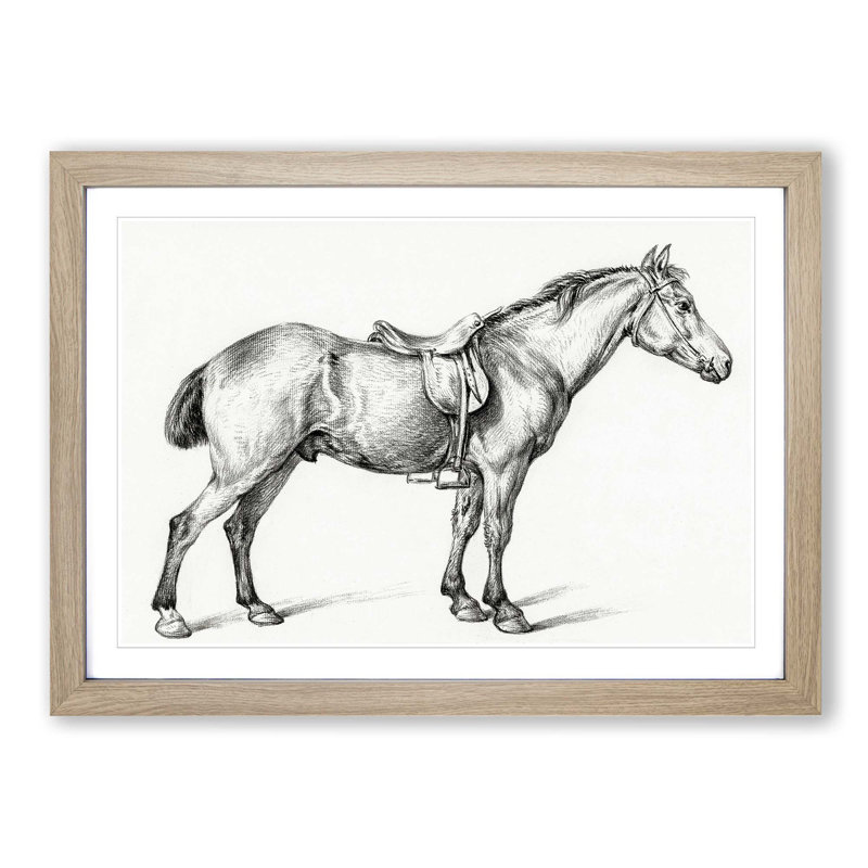 Horse with a Saddle by Jean Bernard - Picture Frame Drawing Print on MDF, 27cm H x 36cm W x 2cm D, Oak Framed