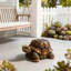 Tabouret de statue de tortue de jardin 18 po, sculpture en résine d'animaux simulés, tabouret décoratif polyvalent pour le salon, le balcon, le bureau, le jardin, la cour et la pelouse