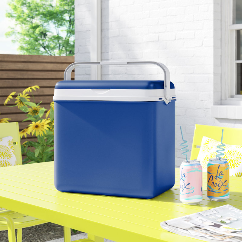 Wayfair Basics™ 24L Handheld Cooler, Blue