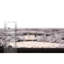 Gosnold Darian Clemson Mori-250180909