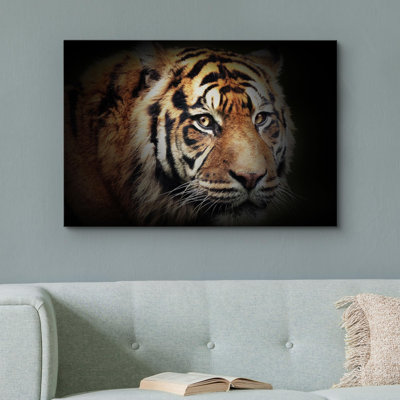 Animaux, tigre du Bengale