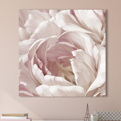 " Intimate Blush II "