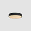 Aukievah LED Flush Mount-1701685627