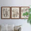 Ensemble de 3 cadres photo sur toile Midnight Tulip V-981462680-981462677