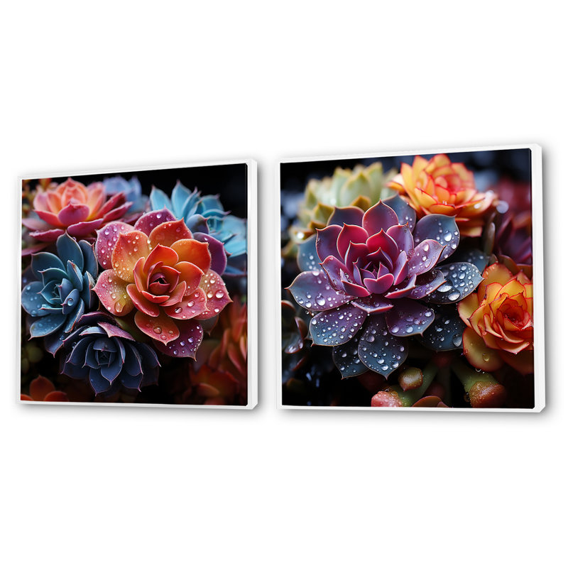 Colorful Succulents Come Alive - Succulent Square Collage, ensemble de 2, Cadre blanc, H 16 po x l 33 po
