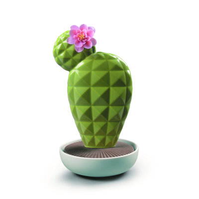 Opuntia cactus, approches de la nuit
