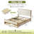 Sheila Upholstered Platform Storage Bed With 4 Drawers-113006886