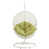 White/Peridot is out of stock