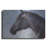 " Equine Encounter " by Robert Campbell-2010123896