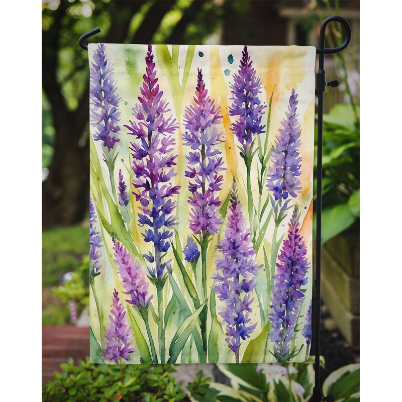 Orchidées paphiopedilum, drapeau du jardin, Fleurs de liatris