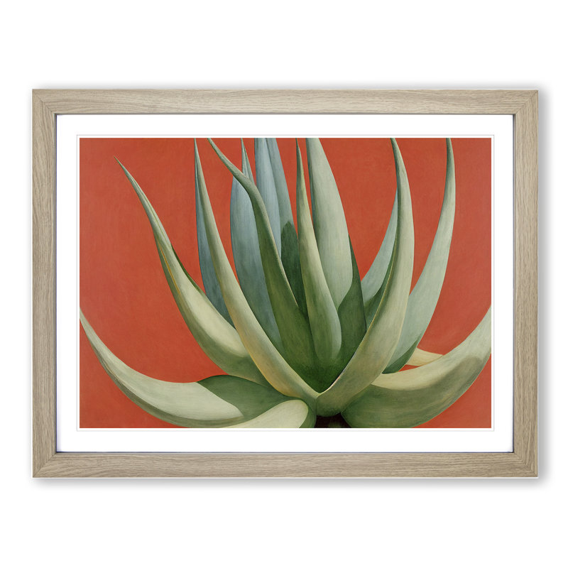 Compelling Aloe Vera Plant - Single Picture Frame Print, Oak Framed, 25cm H x 34cm W x 2cm D
