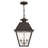 Fraida Bulb Outdoor Hanging Lantern-22670233