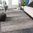 Thornley Oriental Indoor Rug-42418889
