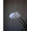 Speaker Cloud