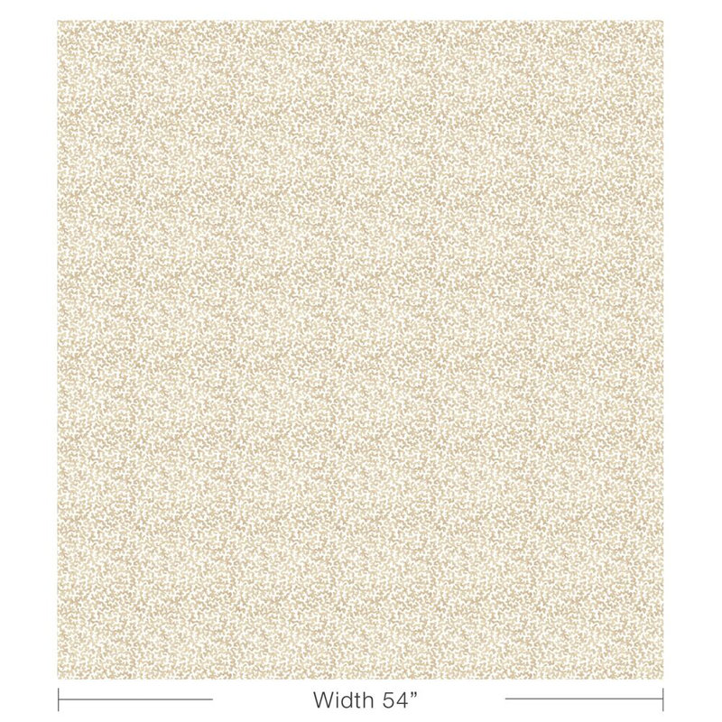Coralcoast, Sand