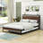 Wilhelmi Metal Platform Bed Frame with Trundle and USB Ports-1270646391-1270646385
