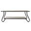 Lindquist Sled Coffee Table with Storage