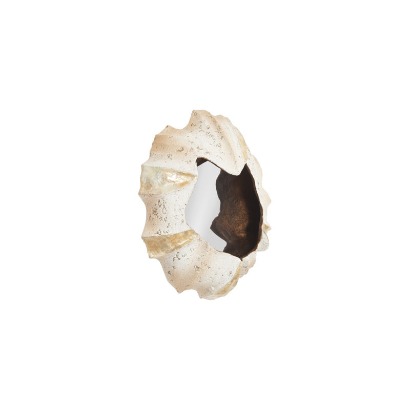 Barnacle Wall Décor