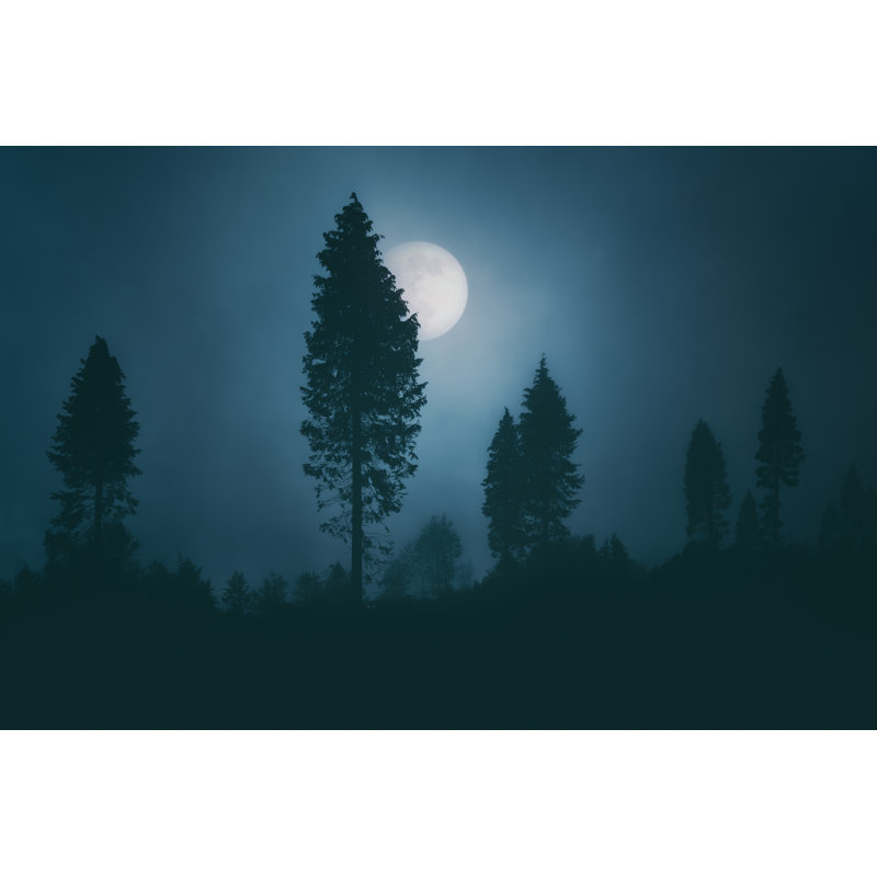 Spooky Forest At Night by Mimadeo - No Frame Print on Canvas, 20cm H x 30cm W x 3.8cm D