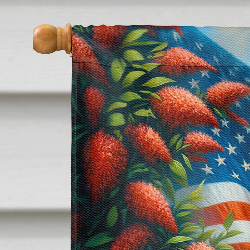 Drapeau «All American House», Loulou de Poméranie