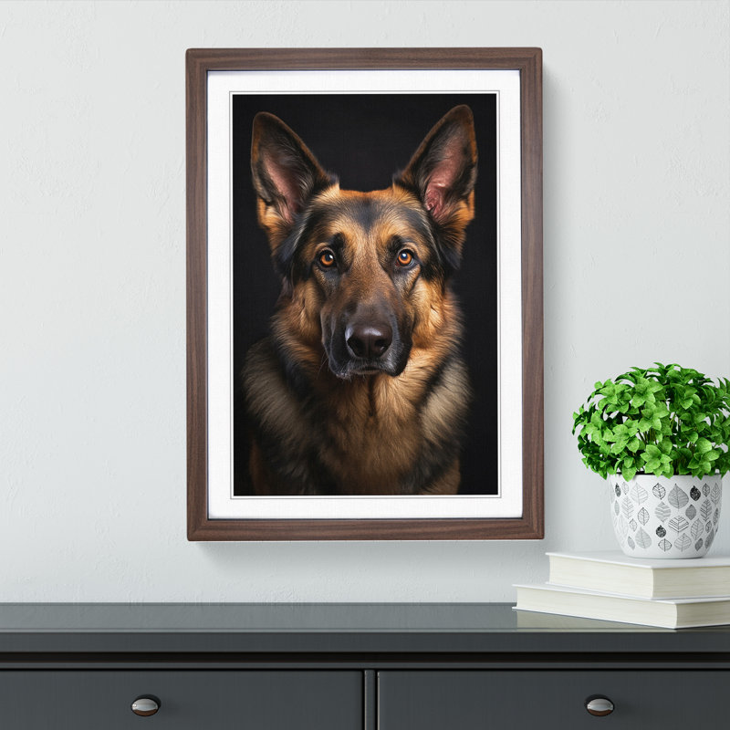 German Shepherd Classicism - Single Picture Frame Print on Wood, Walnut Framed, 46cm H x 34cm W
