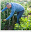 Tabouret de jardin pliable rembourré Outsunny
