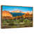 Floating Frame Gold