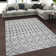 Crownover Southwestern Cotton Hand Woven Area Rug