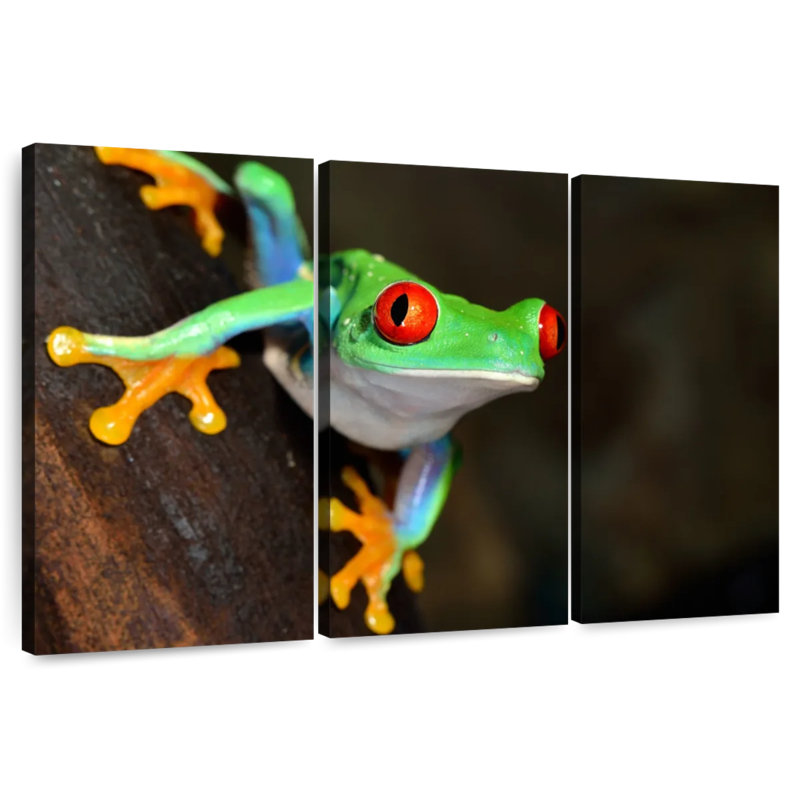 Brampt Tiny Red-Eyed Tree Frog, 42" H x 65" W