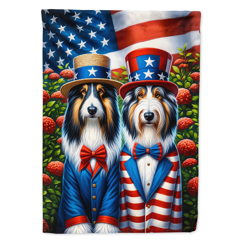 Drapeau «All American House», Colley barbu