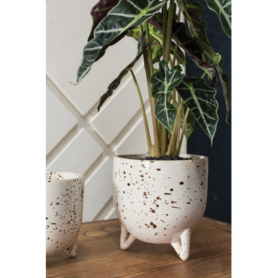 Dasteel Ceramic Pot Planter