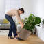 Classico Pot Planter-16493099-16493100