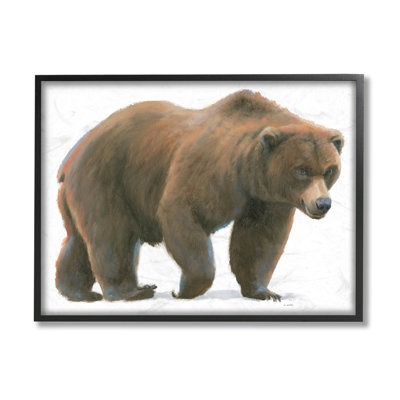 Ours sauvage du nord