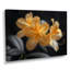 Rhododendron jaune et noir «Midnight Bloom I» - impression d'art mural rhododendron-918703528-948631948