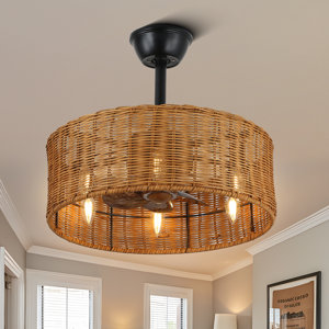https://assets.wfcdn.com/im/17789005/resize-h300-w300%5Ecompr-r85/2702/270299429/18%22+Farmhouse+Woven+Rattan+Caged+Ceiling+Fan+Boho+low+profile+Ceiling+Fan+with+Lights+and+Remote+Control.jpg