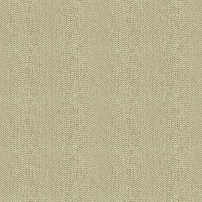 Crypton Incase Kravet Contract Fabric