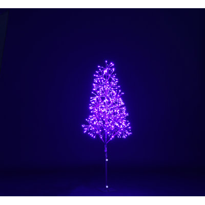 Lighted Trees & Branches