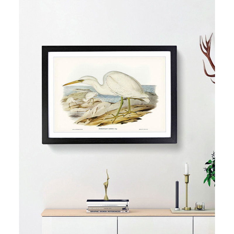 White Reef Herons by Elizabeth Gould - Framed Print, 27cm H x 36cm W x 2cm D, Black Framed