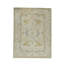 Oriental Area Rug