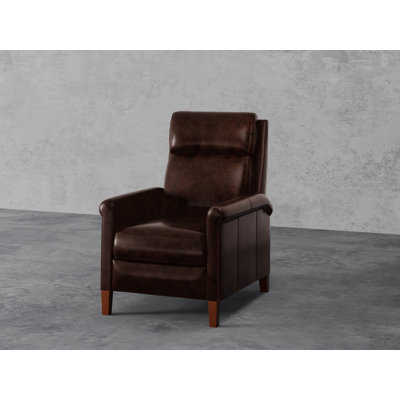 Aniv Recliner