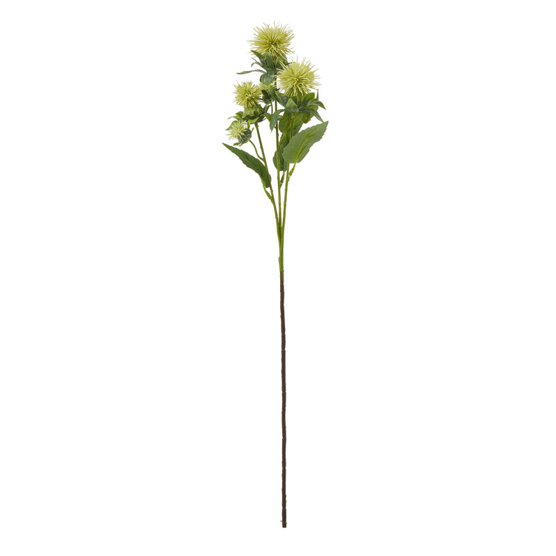Anastasija Arrangement, Green