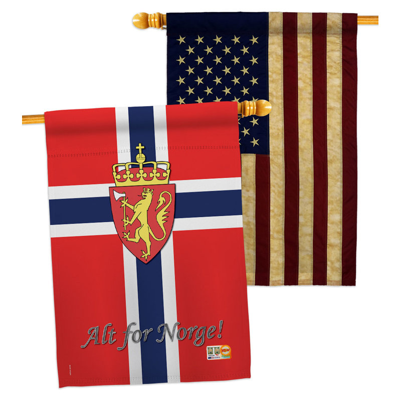 Double Sided 40'' H x 28'' W Polyester House Flag