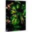 Parvez Taj - Wrapped Canvas Print-16674004