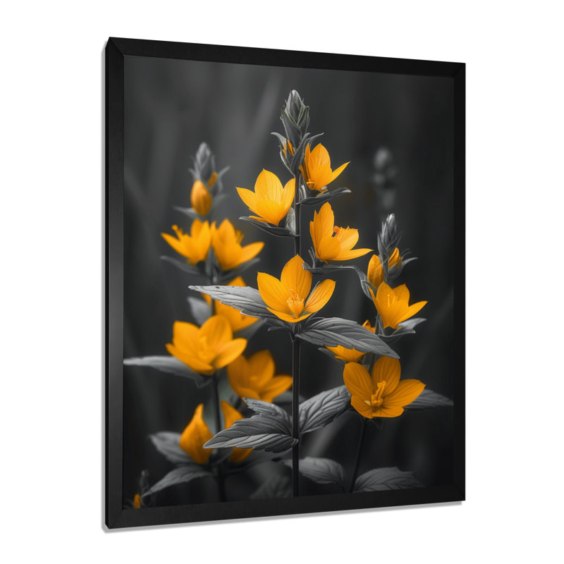 Parfum jaune marguerite noire photo II - marguerite murale art salon, Toile encadrée noire simple, H 20 po x l 12 po x P 1 po